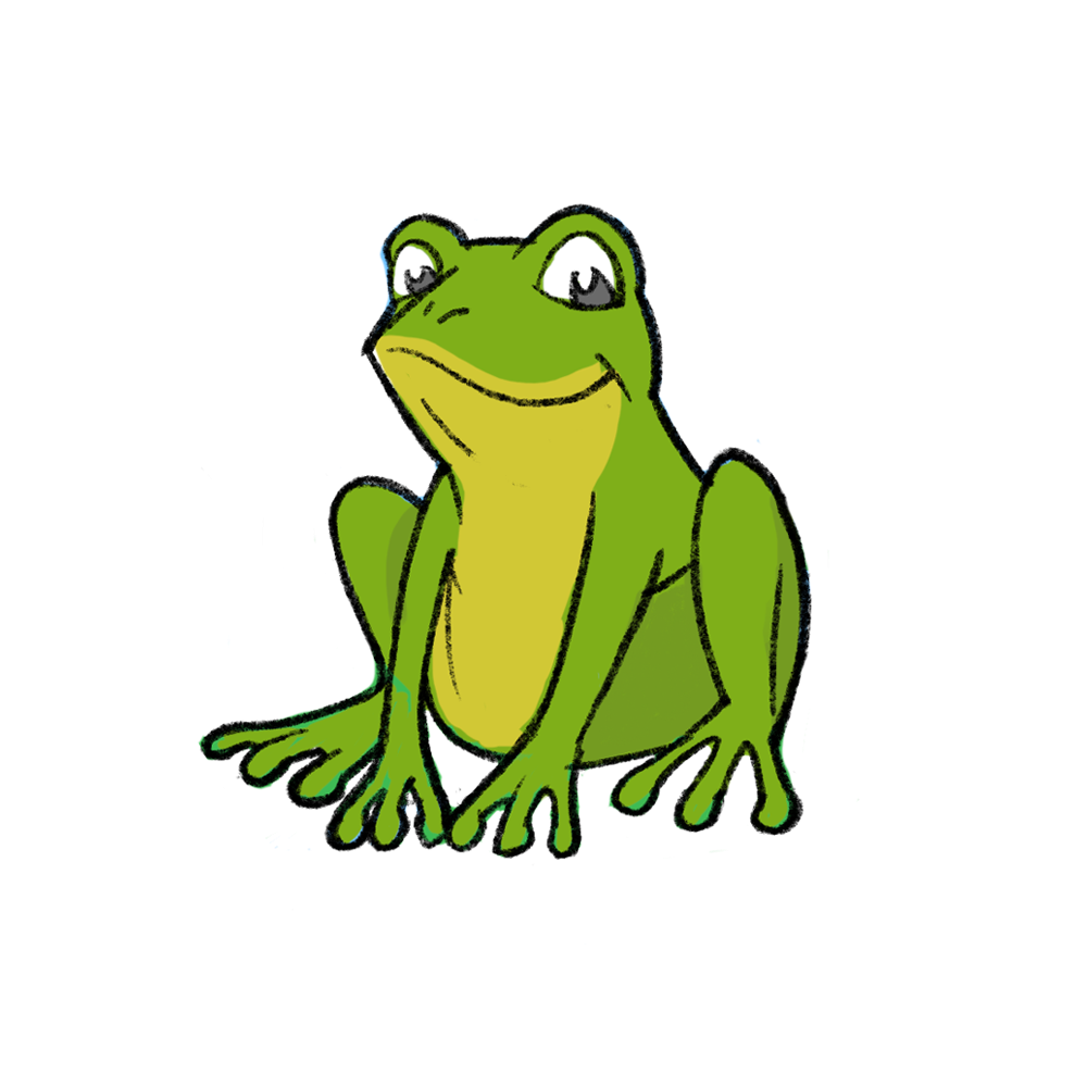 Grafica rana