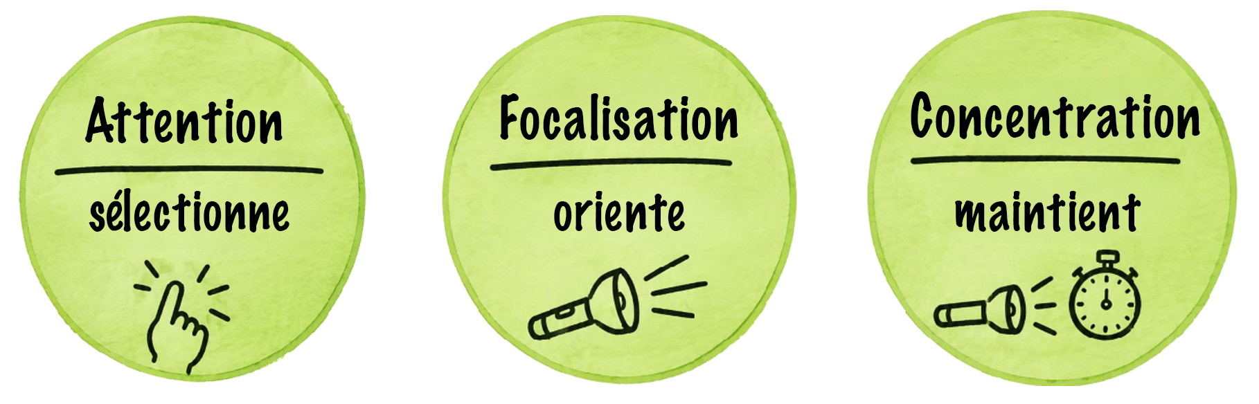 Grafique: le chemin de la concentration