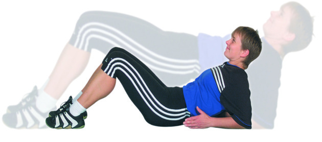 Renforcement musculaire