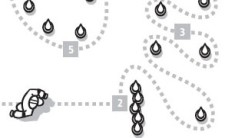 Inline-Skating: Concorso a ostacoli