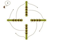 Athlétisme – Haies: Carrousel