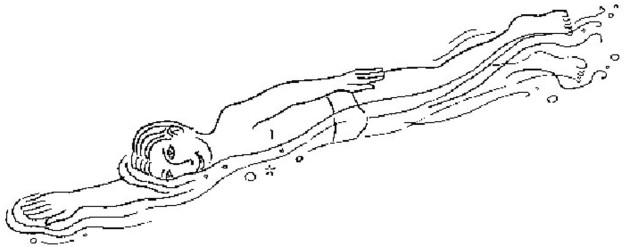 Schwimmen: Schwertfisch