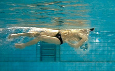 Schwimmen – Rücken: Armzug
