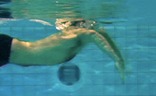 Schwimmen – Brust: Ellenbogen nach vorne
