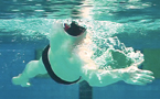 Nuoto – Dorso: Fase di recupero