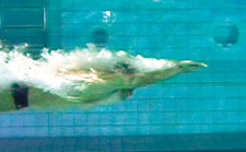 Schwimmen – Kraul: Tauch-Kraul