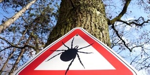 ©Gabriele Rohde – Fotolia.com