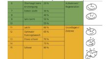 Erwachsenensport – Spielerische Ausdauer: Borg-Skala