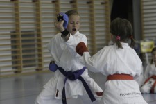 J+S-Kids – Karate: Lektion 6 «Erste Angriffstechniken»