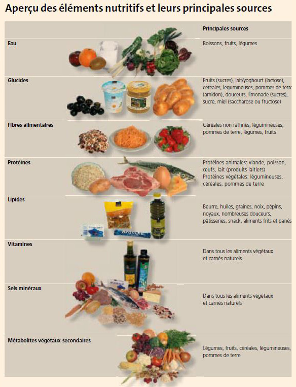 Nutriment : Glutamate - Guide des Nutriments de A à Z - France Minéraux