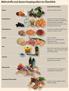 Ernährung: Die Nahrungsbestandteile