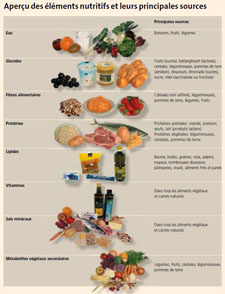 Nutrition: Les éléments nutritifs