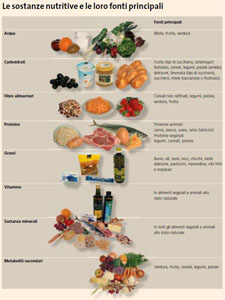 Alimentazione: I componenti alimentari