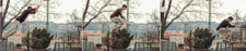 Parkour – Tecniche: Salto di precisione