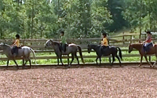 Mehrere Kinder reiten auf vier Ponys an einem Zaun entlang. 