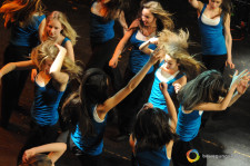 La danza fa scuola: Punti fondamentali