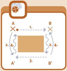 Graphique: organisation du test.