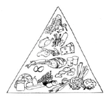 Dessin: La pyramide alimentaire.