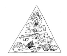 Dessin: La pyramide alimentaire