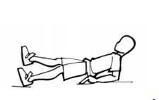 Dessin: Un élève se maintient en appui dorsal sur les avant-bras et lève une jambe.