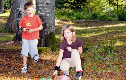 Deux enfants récoltent des objets dans une forêt.