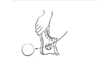 Comic: Eine Hand hält einen Turnschuh und schlägt einen Ball.