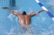 Un atleta mentre nuota a delfino in una piscina olimpionica