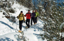 Quattro persone fanno un escursion sugli sci.