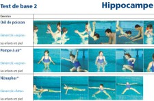 Nuoto – swimsports.ch: Test di base nuoto – Organizzazione