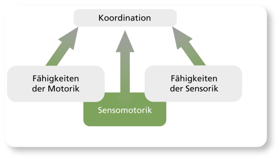 Grafik: Zusammenhänge der Sensomotorik.