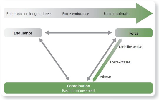 Figure: Le mouvement est une performance coordinative du système sensori-moteur.