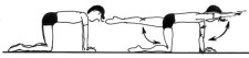 Disegno: una persona nella posizione carponi tende contemporaneamente un braccio e la gamba opposta, tend simultanément la jambe gauche et le bras droit.