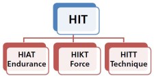 Figure: Subdivision des entraînements à haute intensité (HIT).