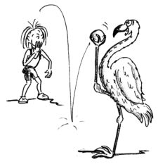 Comic: ein Kind spielt gegen Flamingo mit einem Ball.