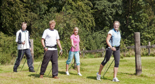 Foto: Zwei Frauen und zwei Männer beim Nordic Walking am Waldrand.