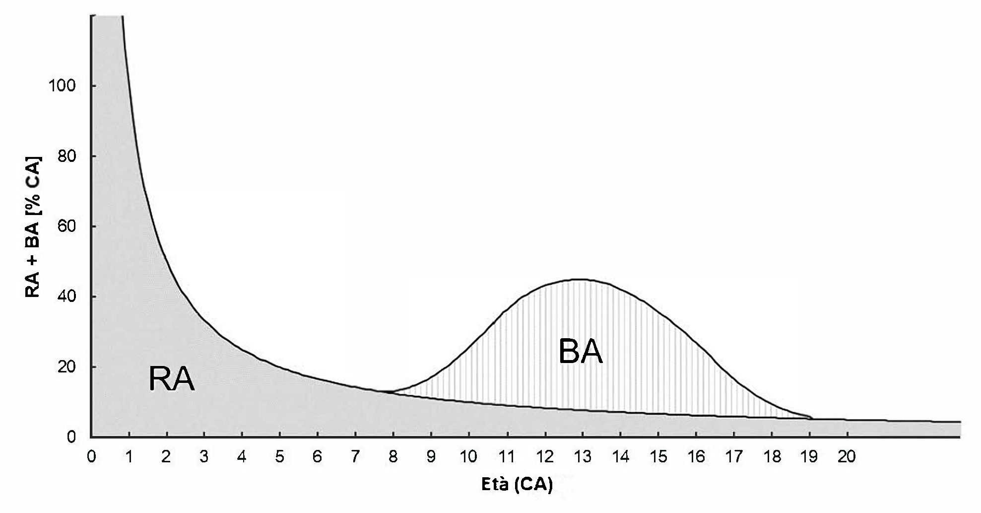 Grafico: Influsso massimo relativo di ER ed EB nei giovani di sesso maschile all’interno di una fascia d’età tra un ragazzo dallo sviluppo precoce e un ragazzo dallo sviluppo tardivo in relazione (in %) all’età cronologica (EC).